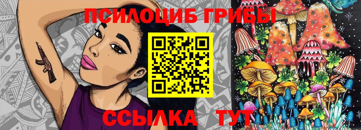 Псилоцибиновые грибы Psilocybine cubensis  Вход с VPN  хочу наркоту  Чебоксары 